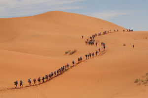 A long file of competitors take the star