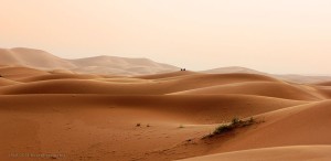 Deserto